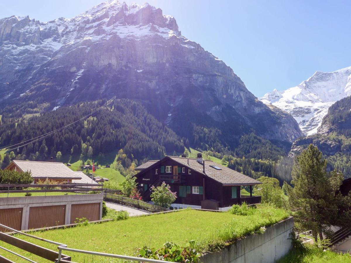 Apartment Chalet Almis-Bödeli-1 Grindelwald Buitenkant foto