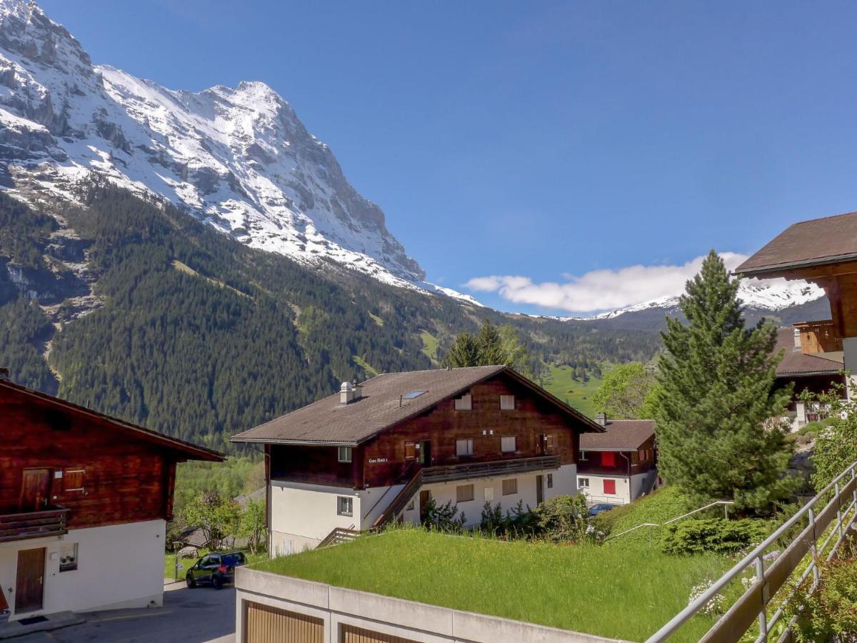 Apartment Chalet Almis-Bödeli-1 Grindelwald Buitenkant foto