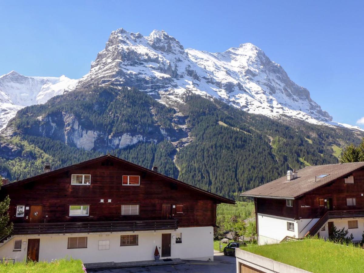 Apartment Chalet Almis-Bödeli-1 Grindelwald Buitenkant foto