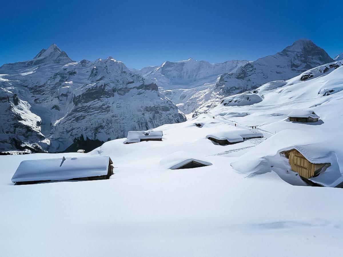 Apartment Chalet Almis-Bödeli-1 Grindelwald Buitenkant foto