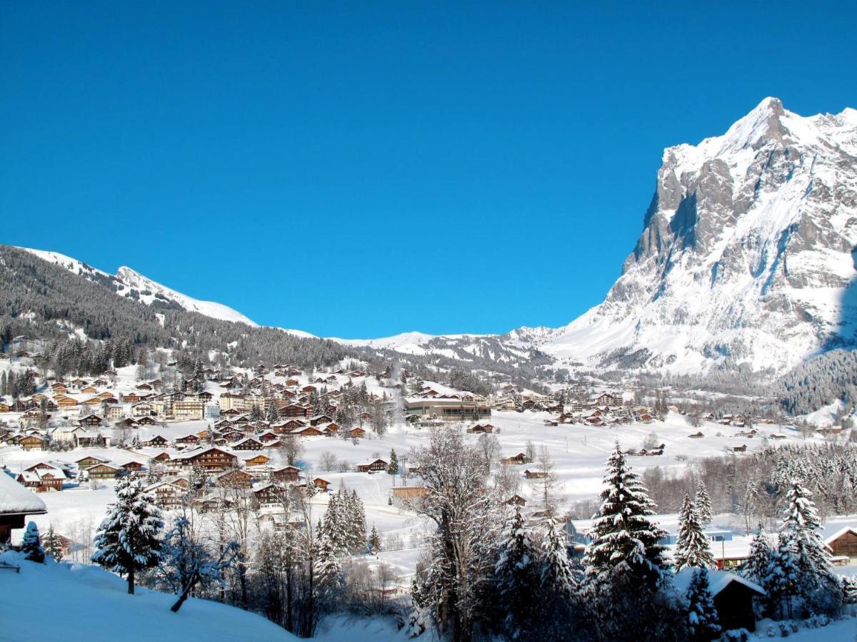 Apartment Chalet Almis-Bödeli-1 Grindelwald Buitenkant foto